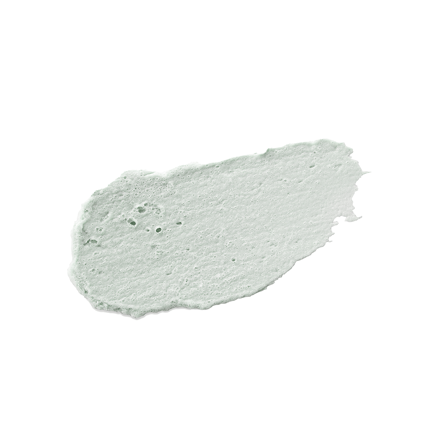 NEOGEN NEOGEN DERMALOGY Canadian Clay Pore Cleanser Kit (Pore Cleanser 4.2 oz / 120g + 1 Brush)